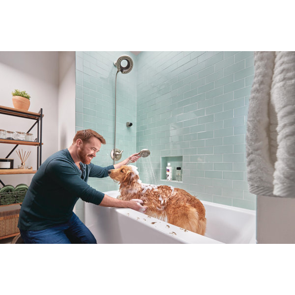 Delta 7Spray In2ition Dual Shower Head with Handheld Spray, Handheld